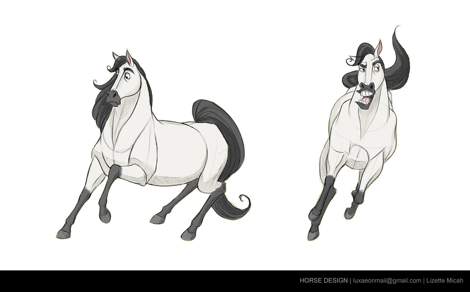 Horse Designs